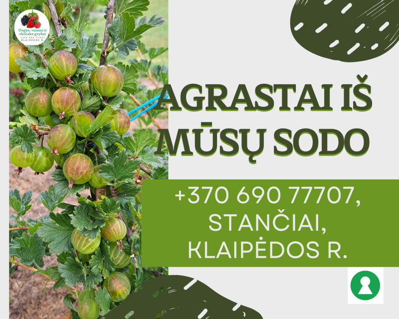 Agrastai užauginti tvariai, 10 l