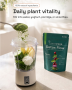 Detox Flow