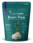 Brain Flow