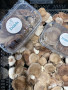 Shiitake grybai 200g