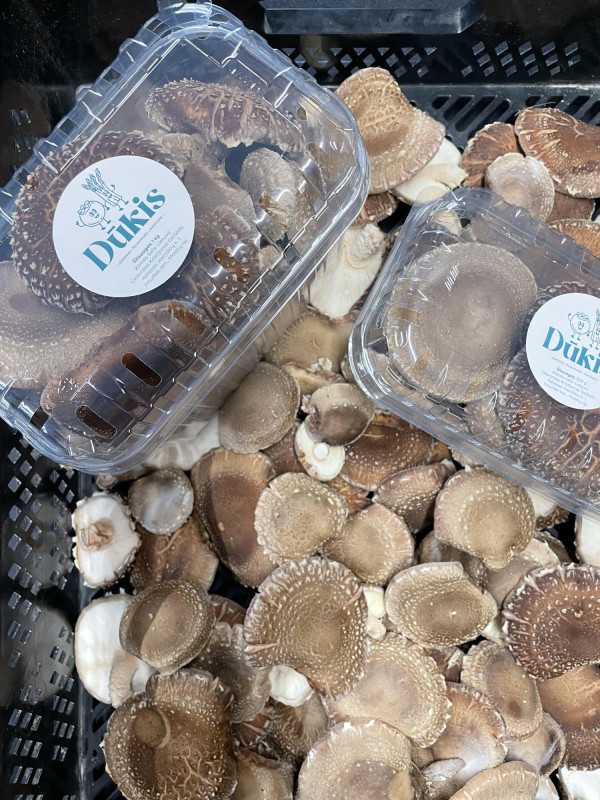 Shiitake grybai 200g