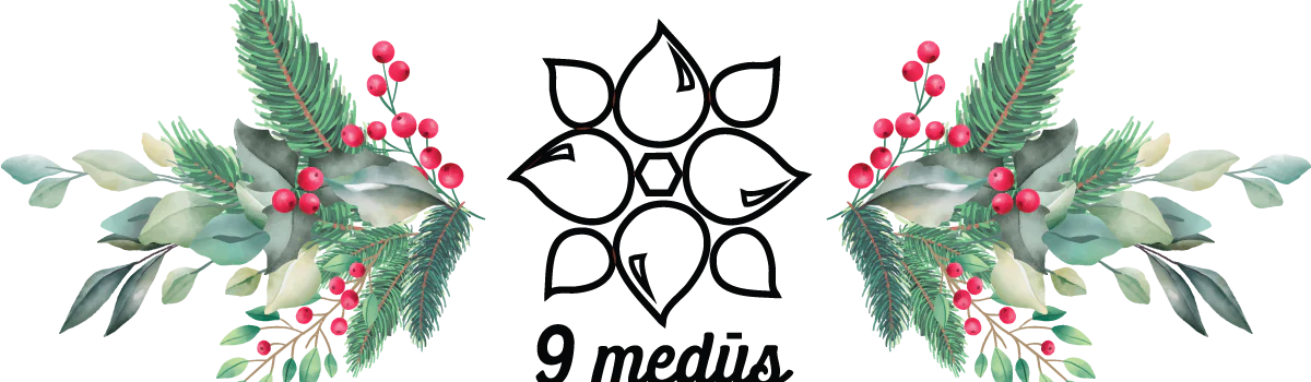 Devyni medūs