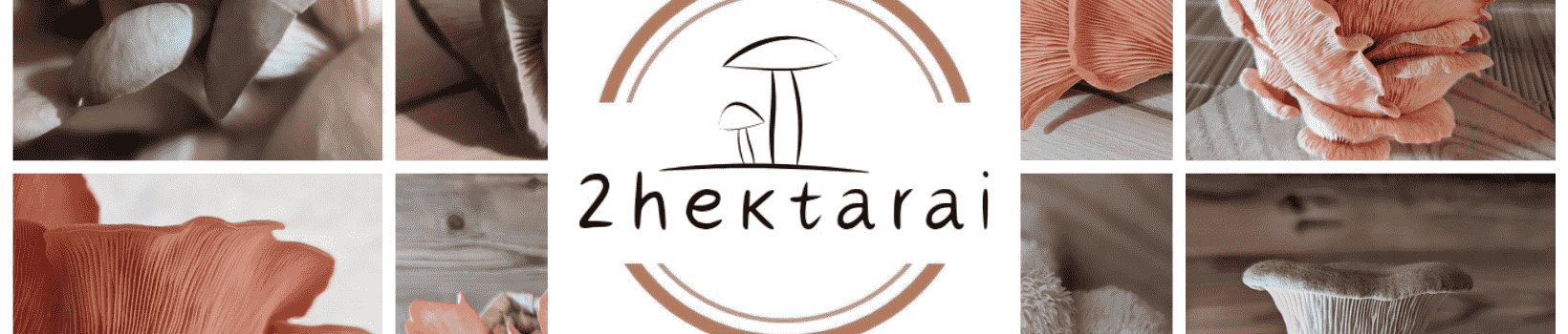 2hektarai