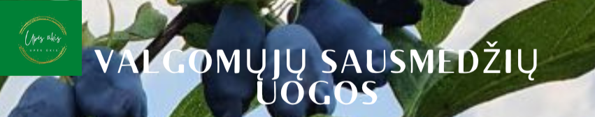 Upės ūkis